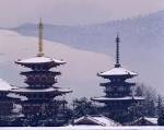 薬師寺東西塔 薬師寺東西塔